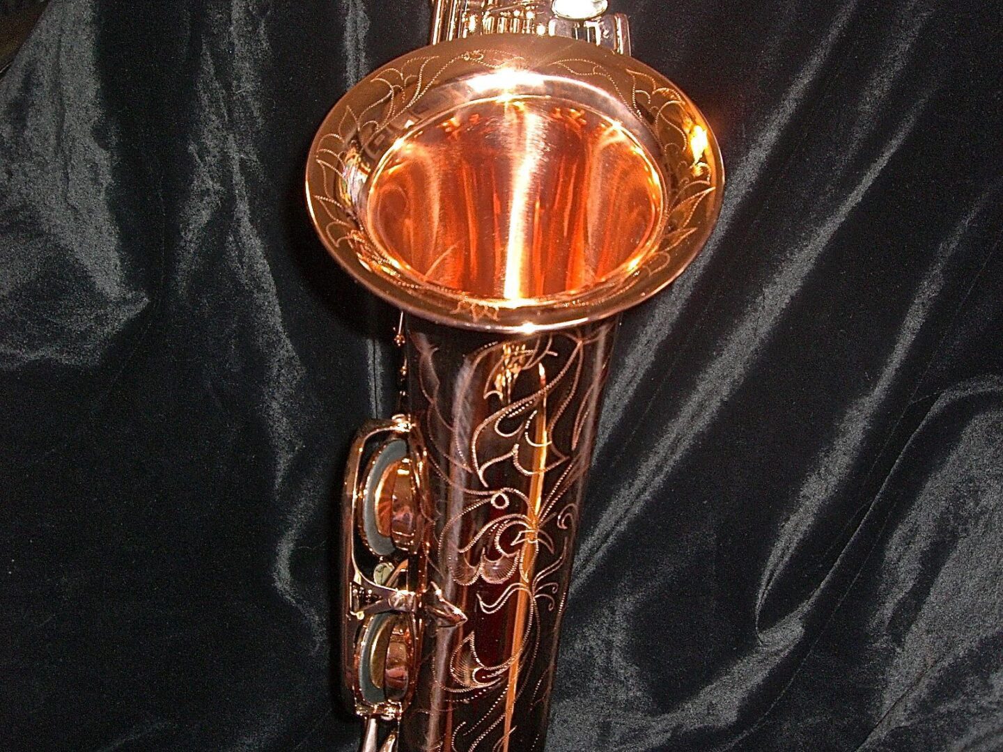 Steve Goodson Model Saxophone Jennifer Barnes Naked