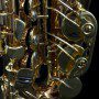 saxgour-voodoorexalto-3-13-2014-5
