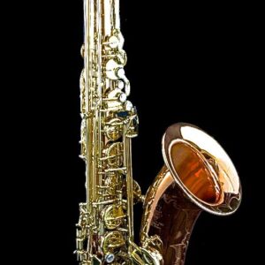 saxgour-voodoorextenor-3-13-2014-1