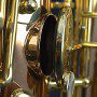saxgour-voodoorextenor-3-13-2014-2
