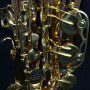 saxgour-voodoorextenor-3-13-2014-4