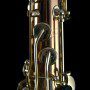 saxgour-voodoorextenor-3-13-2014-7