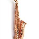 sg400 Alto 2